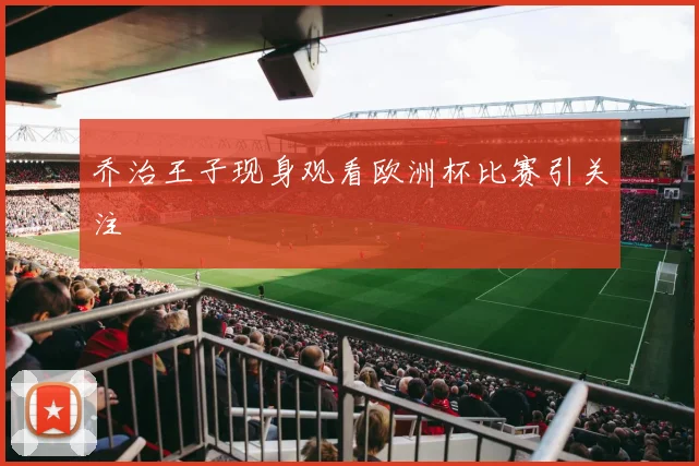 乔治王子现身观看欧洲杯比赛引关注
