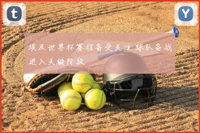 埃及世界杯赛程备受关注 球队备战进入关键阶段