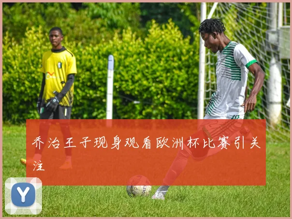 乔治王子现身观看欧洲杯比赛引关注