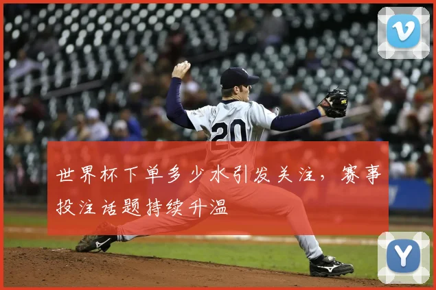 世界杯下单多少水引发关注,赛事投注话题持续升温