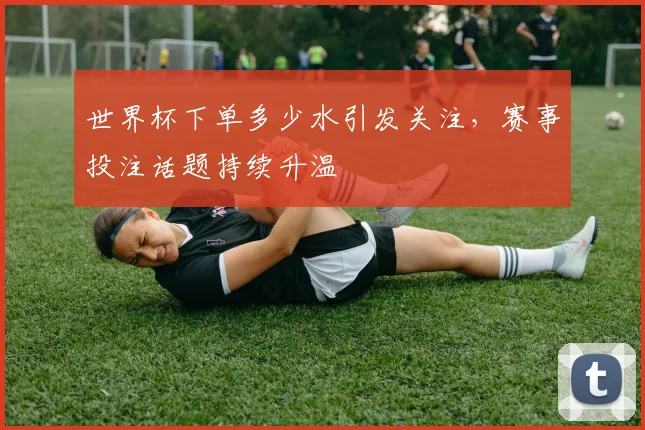 世界杯下单多少水引发关注,赛事投注话题持续升温