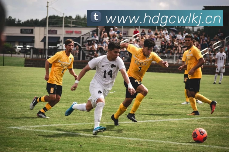 B体育·(B - sports)官方网站全站App B体育·(B - sports)官方网站全站App